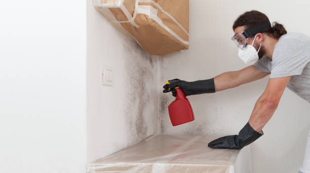 Professional Crawl Space Mold Removal technician working in Old Bethpage, NY