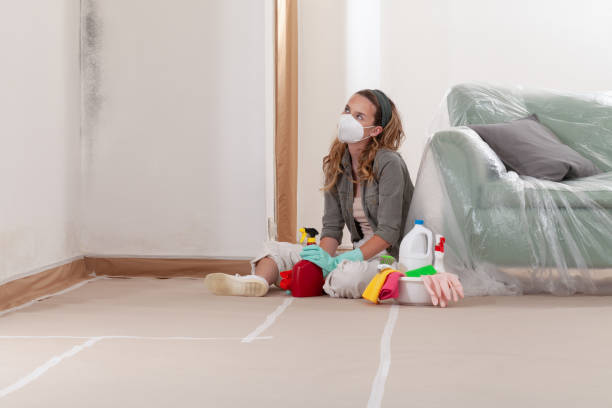 Reliable Crawl Space Mold Removal contractor in Old Bethpage, NY by WQB Mold Removal